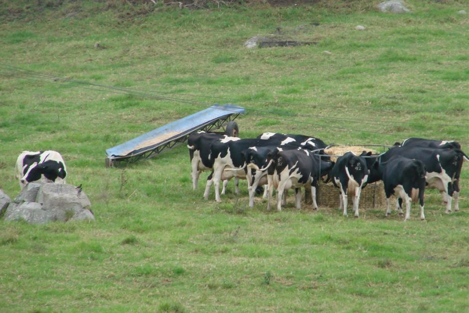 Media Release: Agricultre industry inquiry welcomed Main Image