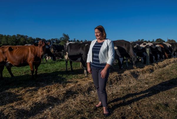 Media release: MP slams government for ignoring local farmers Main Image