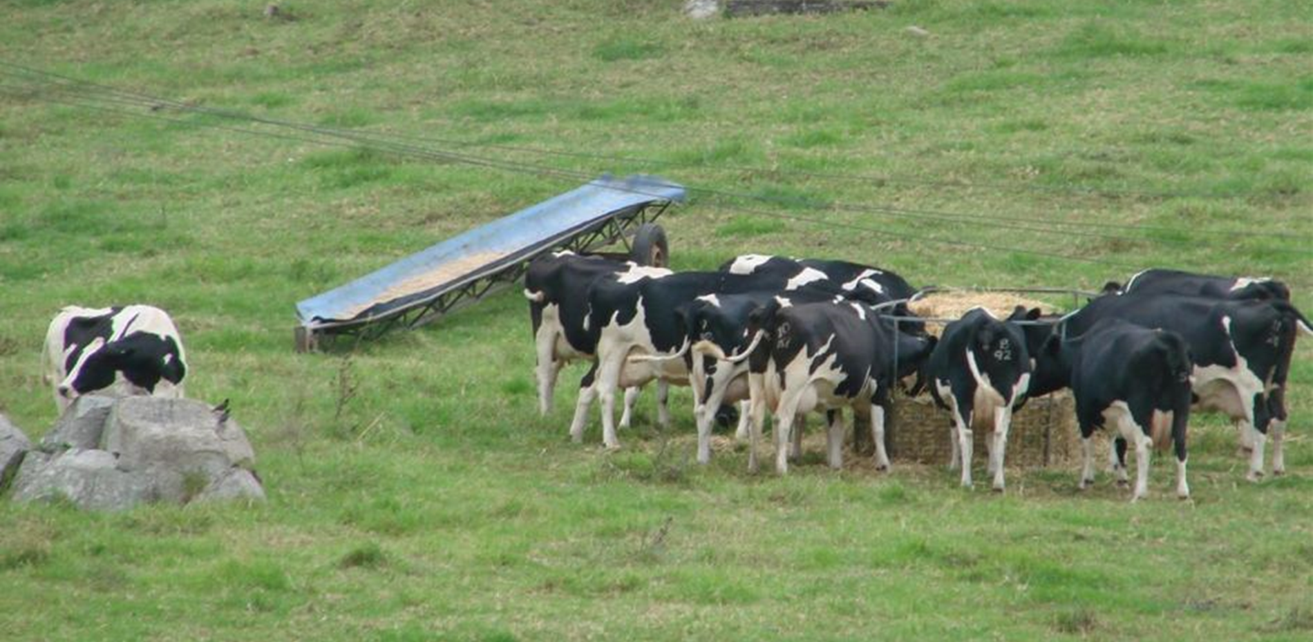 Media release: Local MP encourages farmers to have their say Main Image