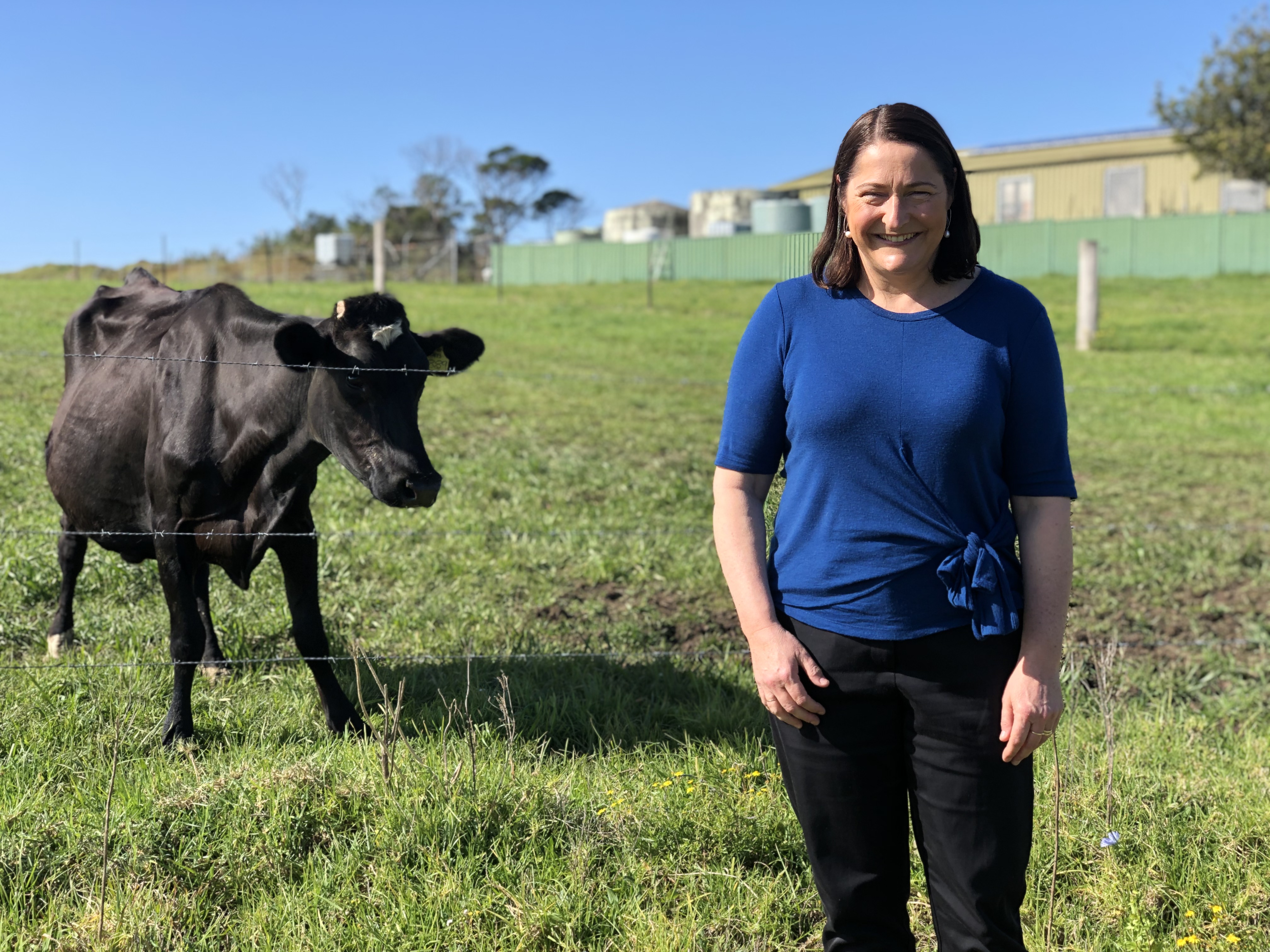 Speech: Dairy Cattle Export Charge Bill Main Image