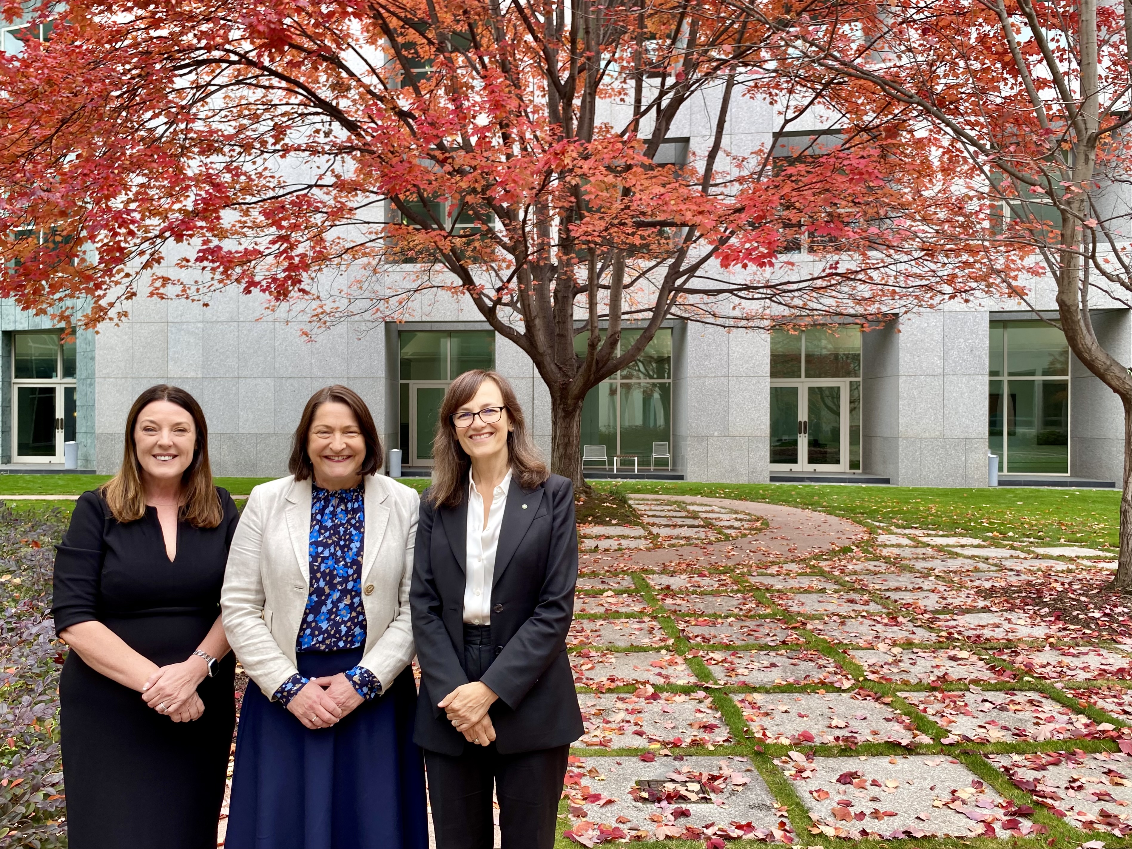 BUDGET 2026: Resilience and reform for the Illawarra, South Coast and Southern Highlands Main Image
