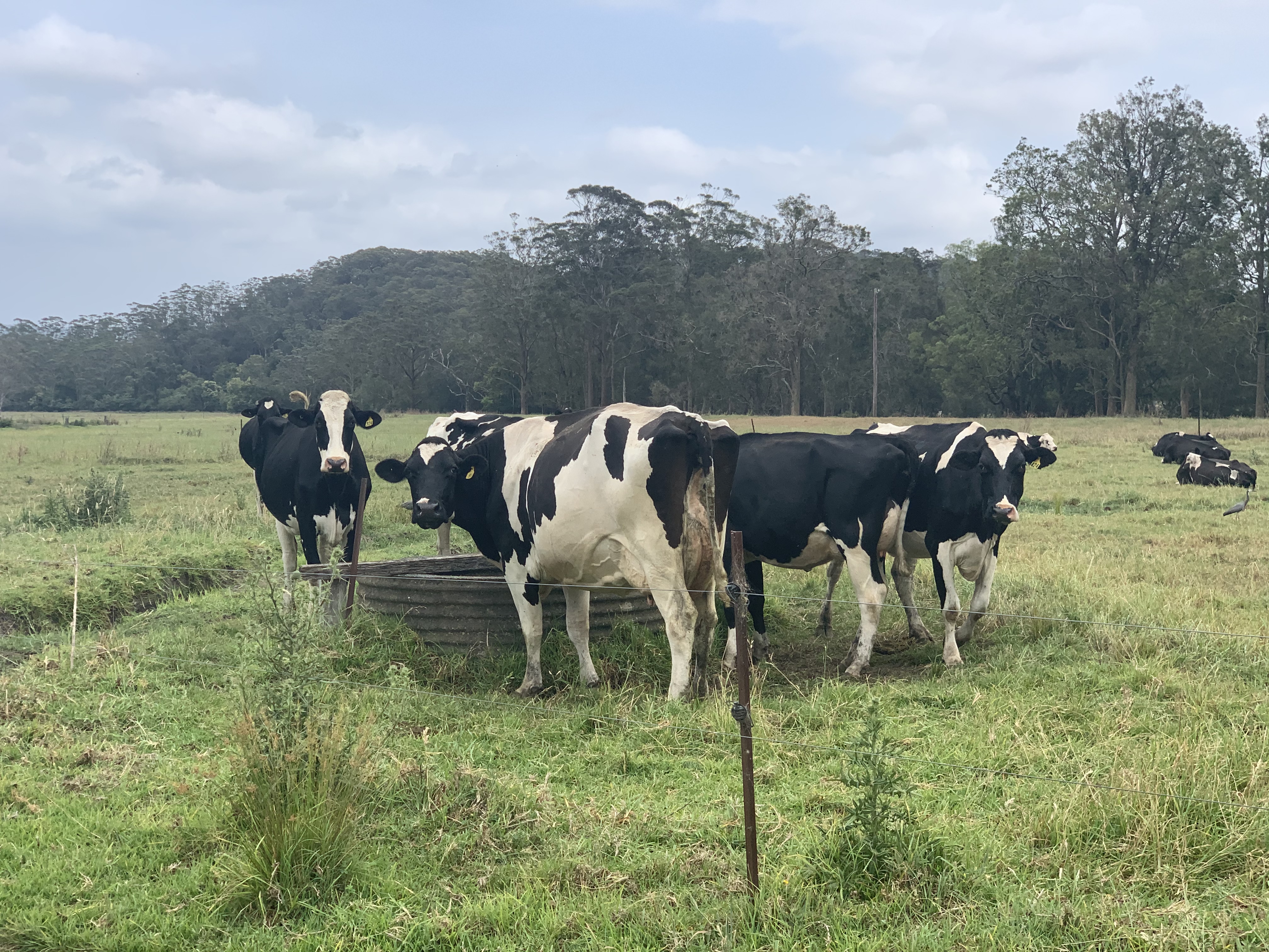 Speech: Agriculture and water resources committee - report Main Image