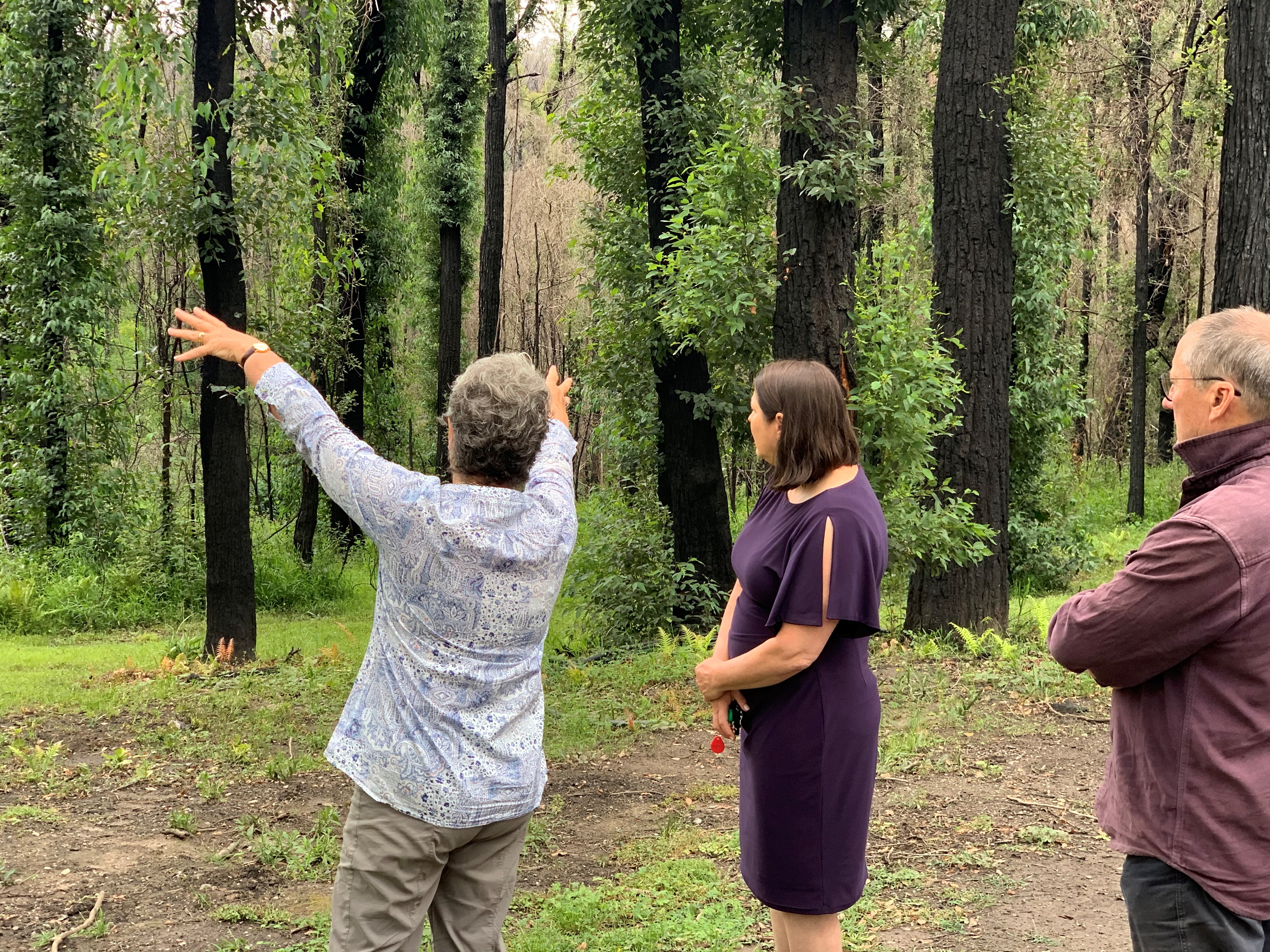 Speech: The government's failure on the environment Main Image