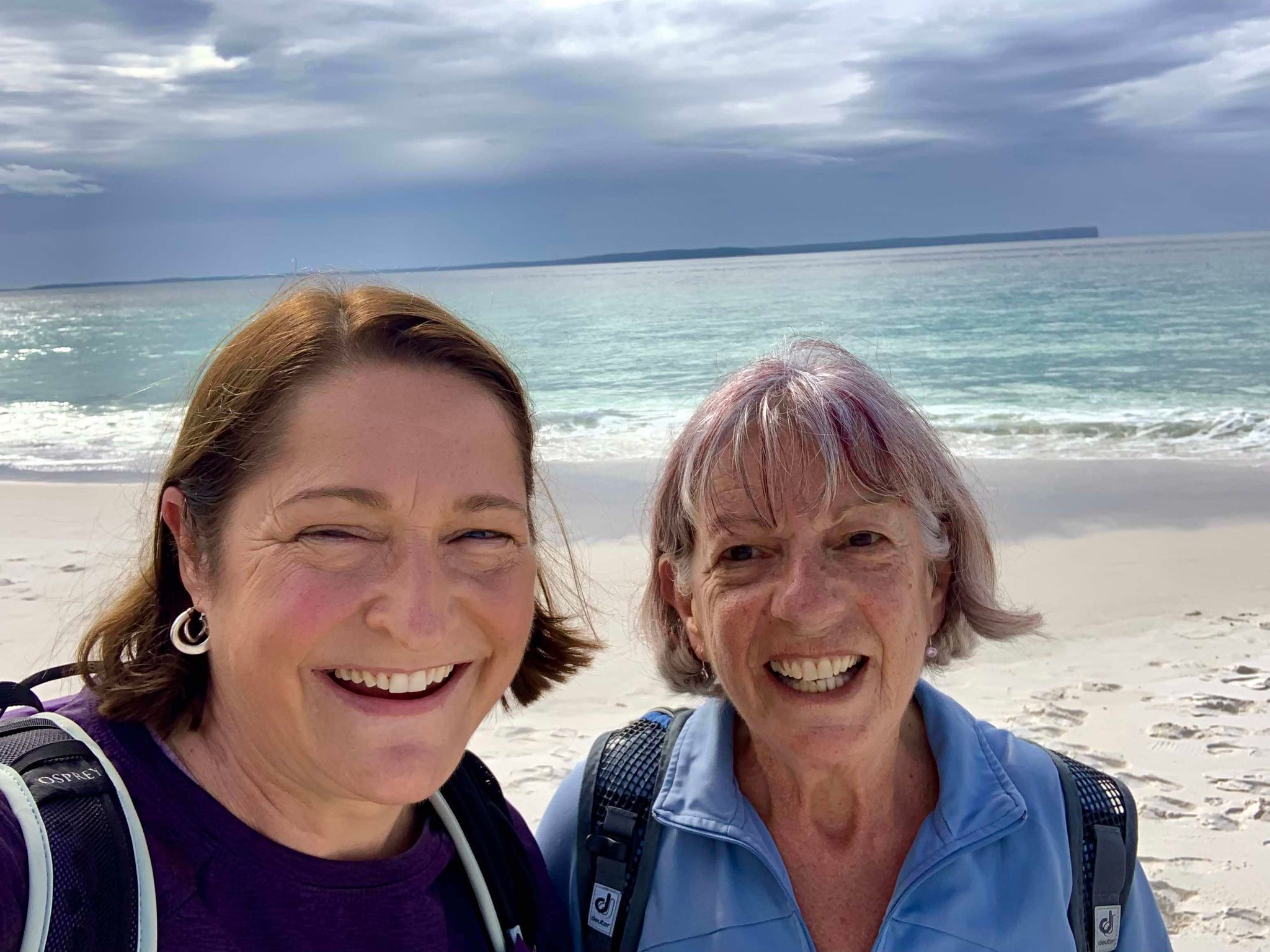 MEDIA RELEASE: Fiona Phillips to step out with Nowra Walkie Talkies to support Heart Foundation Main Image